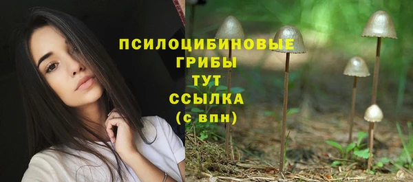 скорость mdpv Козельск