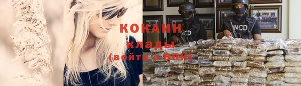 spice Кодинск