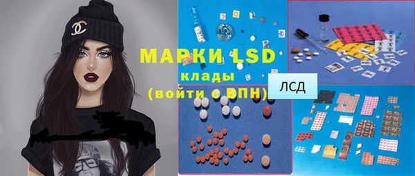 spice Кодинск