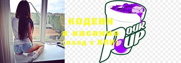 spice Кодинск