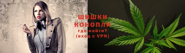 spice Кодинск