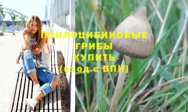 экстази Козловка
