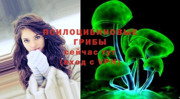 spice Кодинск